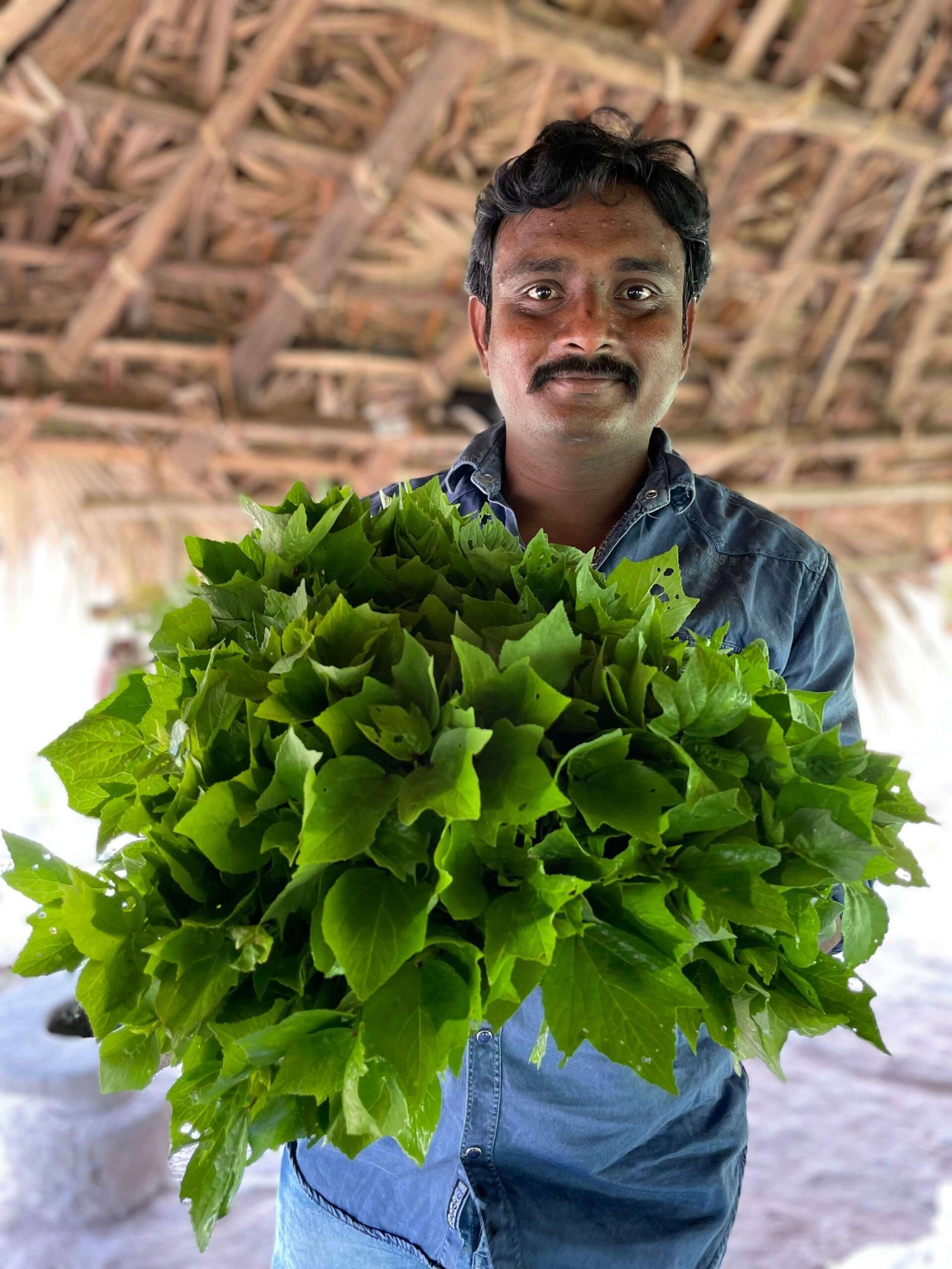 Organic farm in Kakinada