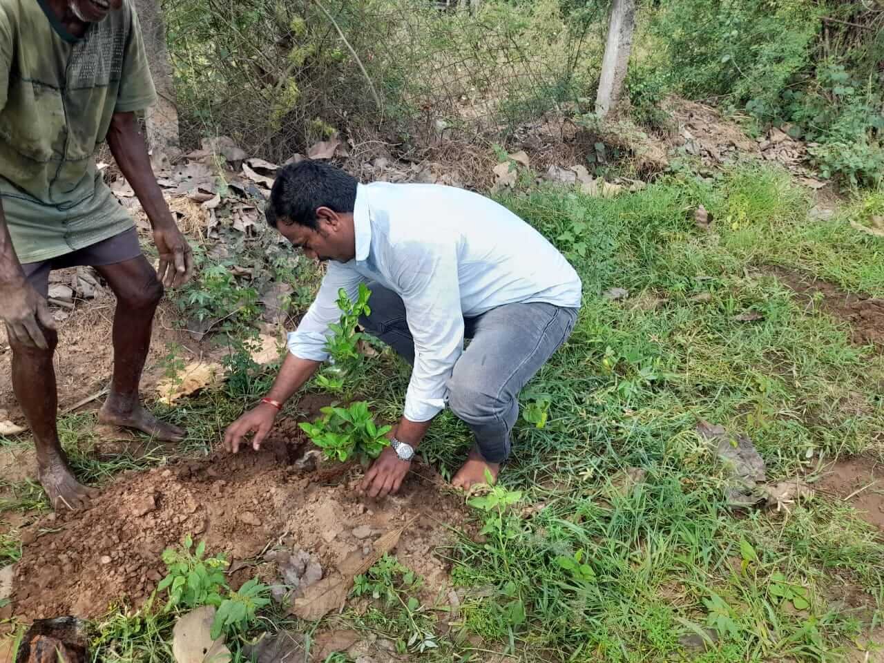 Organic farm in Kakinada